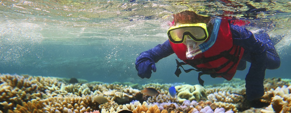 The Great Barrier Reef – Snorkelling