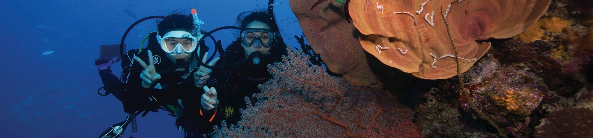 How deep is the Great Barrier Reef diving?