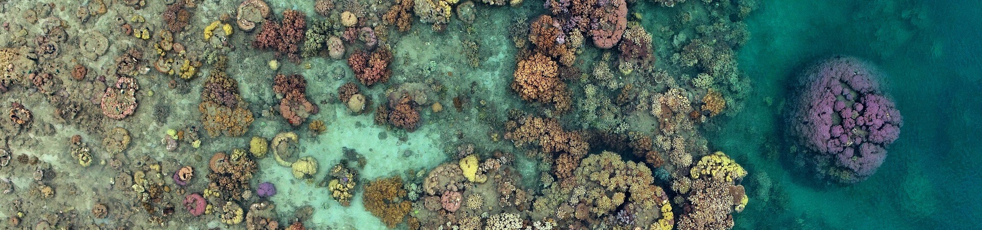 How far is the Great Barrier Reef from the coast of Australia?