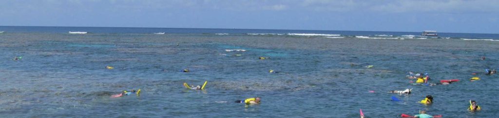 Great Barrier Reef Cairns