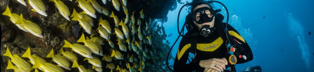Scuba Diver Underwater