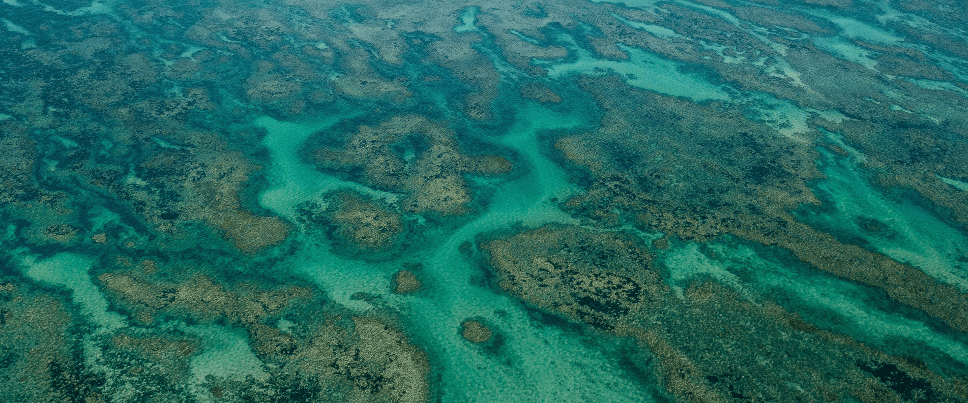 View of a reef from above