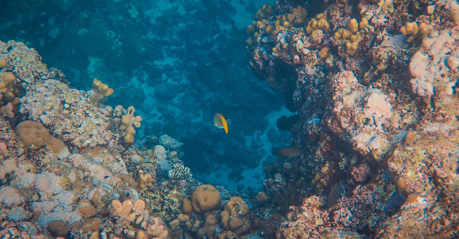 Great Barrier Reef