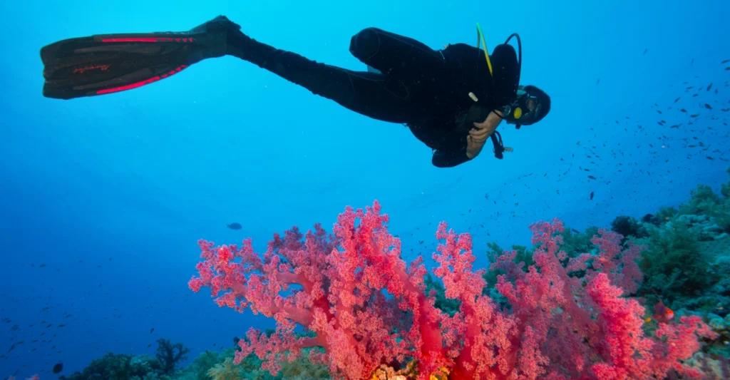 Great Barrier Reef