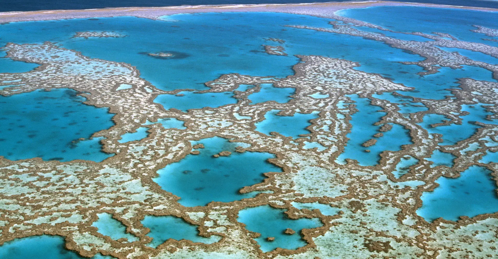 What to Do in Cairns